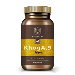   Myrobalan khoga.9 gyomorégés, reflux elleni gyógynövény-komplex vegán kapszula 60 db