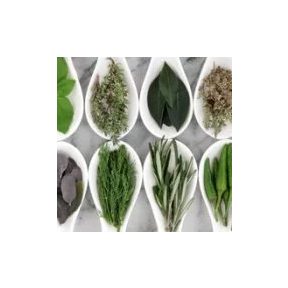 Gyógyhatású készítmények